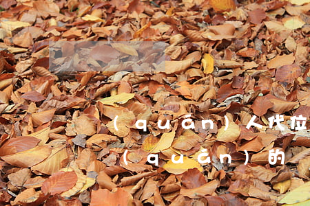 債權(quán)人代位權(quán)管轄權(quán)的內(nèi)容是什么