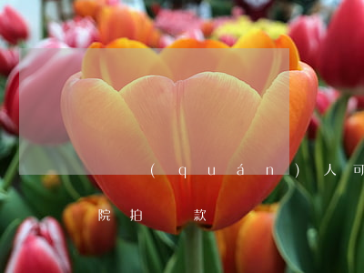 債權(quán)人可以凍結(jié)法院拍賣款嗎