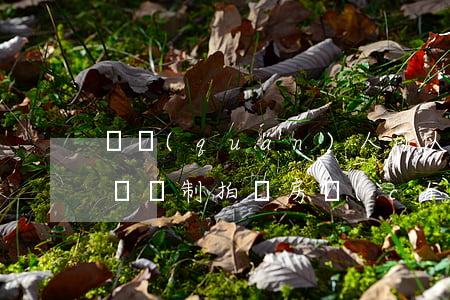 債權(quán)人可以要求法院強制拍賣嗎(強制拍賣房產(chǎn)需要經(jīng)過債務(wù)人同意嗎)
