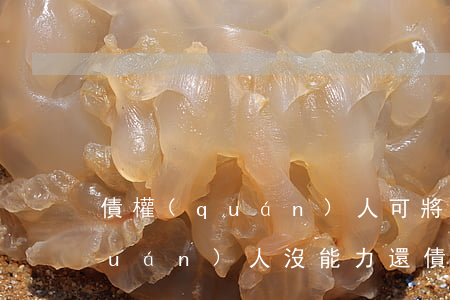 債權(quán)人可將無力償還(債權(quán)人沒能力還債怎么辦)