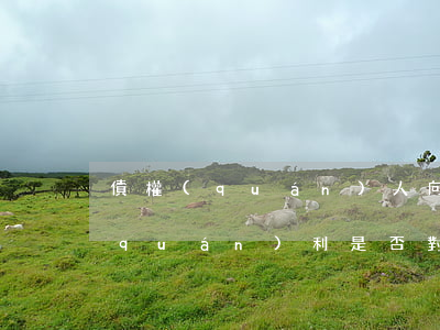 債權(quán)人向合伙人之一主張權(quán)利是否對所有合伙人有效