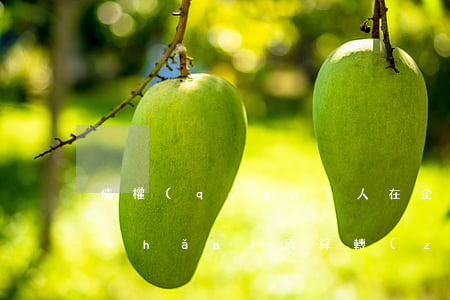 債權(quán)人在企業(yè)破產(chǎn)清算轉(zhuǎn)讓無償財產(chǎn)時應(yīng)該怎么辦