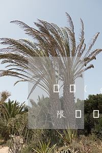 債權(quán)人無(wú)力償還的期限 債權(quán)人無(wú)力償還債權(quán)人欠款法院會(huì)怎么處理