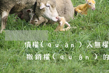 債權(quán)人無權(quán)行使撤銷權(quán)的4種情形