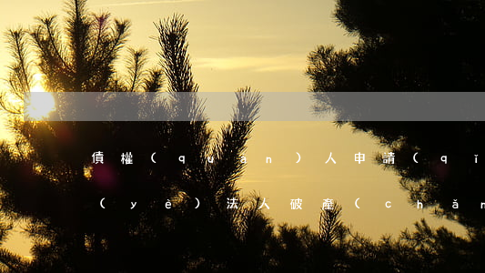 債權(quán)人申請(qǐng)企業(yè)法人破產(chǎn)申請(qǐng)人是否要預(yù)交清算費(fèi)