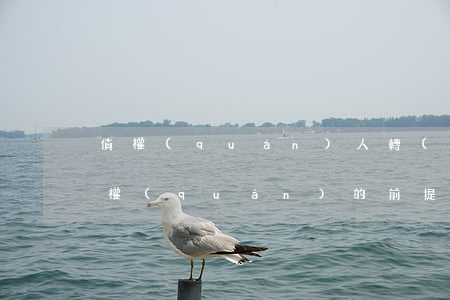 債權(quán)人轉(zhuǎn)移債權(quán)的前提有什么