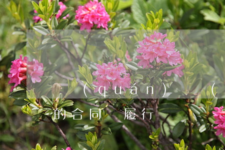 債權(quán)債務(wù)同歸于一人的合同還履行嗎