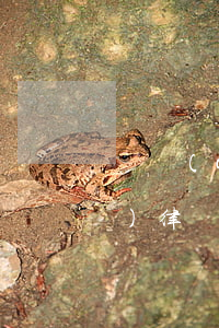 債權(quán)債務(wù)專業(yè)律師介紹 專業(yè)債權(quán)律師咨詢熱線