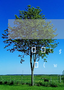 債權(quán)債務(wù)律師在線（債務(wù)債權(quán)案律師排名）