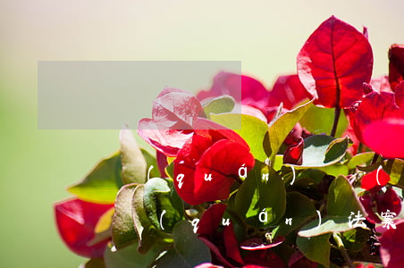 債權(quán)債務(wù)糾紛小案例(債權(quán)法案例)