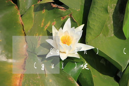 債權(quán)債務(wù)重組法律規(guī)定
