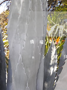 債權(quán)債務(wù)關(guān)系只有口頭承諾，如何主張權(quán)利？