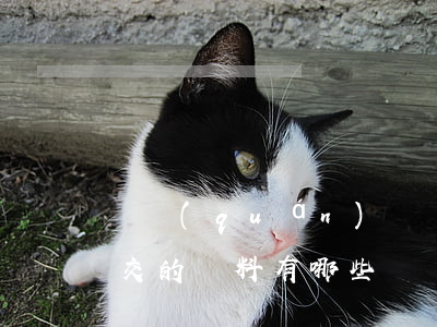 債權(quán)債務清理審計工作需要提交的資料有哪些