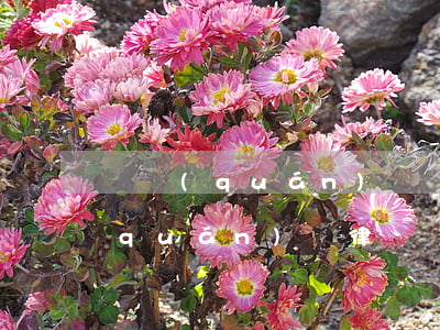 債權(quán)債務請律師劃算嗎(債權(quán)請律師費用多少錢)