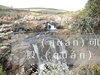 債權(quán)可以法院拍賣嗎(法院拍賣股權(quán)債務(wù)誰承擔(dān))