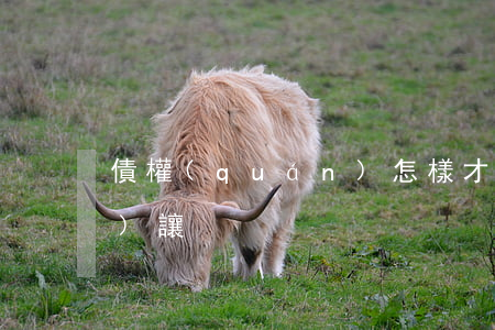 債權(quán)怎樣才能轉(zhuǎn)讓