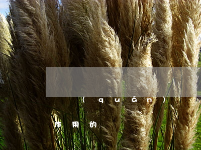 債權(quán)憑證制度中起到哪些積極作用的
