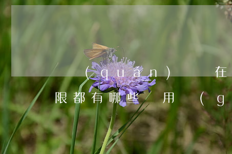 債權(quán)憑證在執(zhí)行期限都有哪些適用規(guī)則