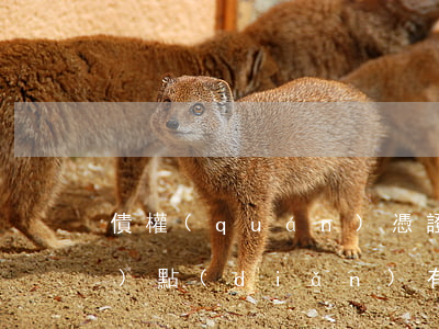 債權(quán)憑證的含義與優(yōu)點(diǎn)有哪些