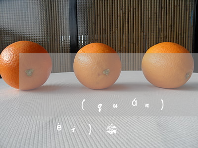債權(quán)憑證需要記載哪些內(nèi)容