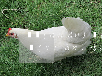 債權(quán)擔(dān)保的五種表現(xiàn)方式的內(nèi)容是什么