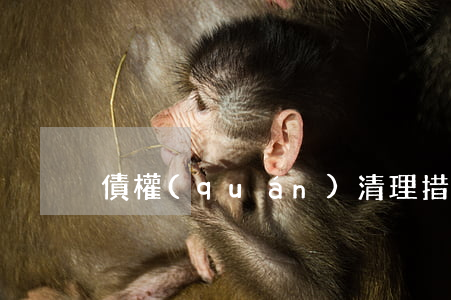 債權(quán)清理措施有哪些