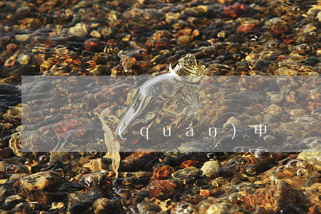 債權(quán)申報書要怎么寫