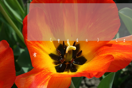 債權(quán)轉(zhuǎn)讓方式有幾種