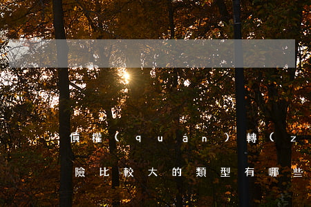 債權(quán)轉(zhuǎn)讓時風險比較大的類型有哪些債權(quán)