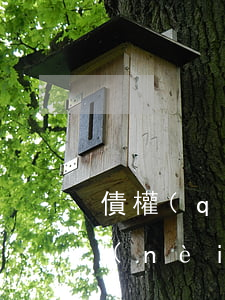 債權(quán)轉(zhuǎn)讓的內(nèi)部效力是怎樣的