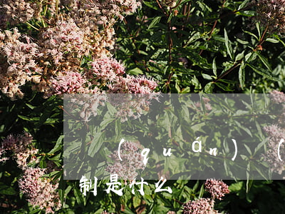 債權(quán)轉(zhuǎn)讓的限制是什么