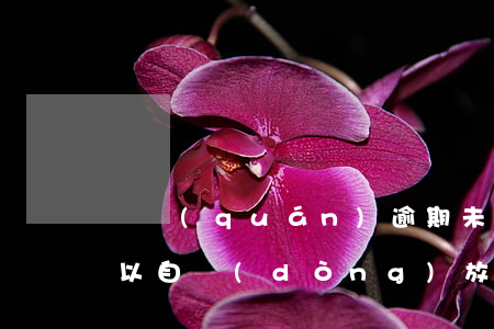 債權(quán)逾期未申報(bào)可以自動(dòng)放棄嗎-債權(quán)逾期未申報(bào)可以自動(dòng)放棄嗎法律