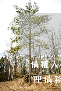 債權人無力償還律師費怎么賠(有沒有專門處理債務的律師呢)