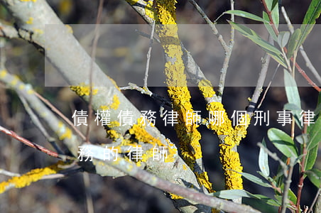 債權債務律師哪個刑事律師比較好-債權債務的律師