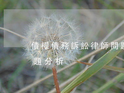 債權債務訴訟律師問題(債權債務訴訟律師問題分析)