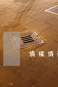 債權債務轉讓后起訴的案由有哪些