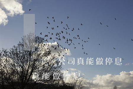 債減減公司真能做停息掛賬嗎-再減減公司真能做停息掛賬嗎