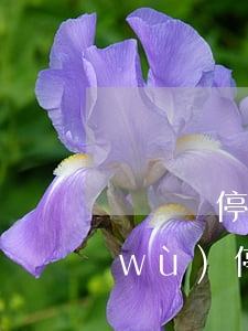 債無憂停息掛賬是真的嗎-法律咨詢債務(wù)停息掛賬是真是假