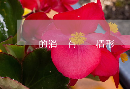 債的消滅有幾種情形