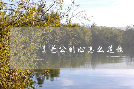 傷了老公的心怎么道歉