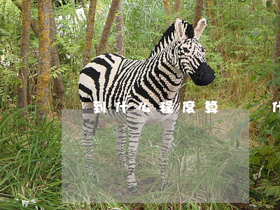 傷到什么程度算輕傷(什么樣的傷算是輕傷)