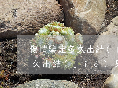 傷情鑒定多久出結(jié)果(傷情鑒定多久出結(jié)果有明文規(guī)定嘛)