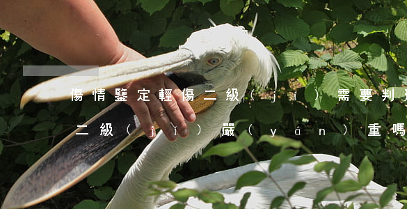 傷情鑒定輕傷二級(jí)需要判刑嗎(輕傷二級(jí)嚴(yán)重嗎要判多久)