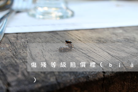 傷殘等級賠償標(biāo)準(zhǔn)
