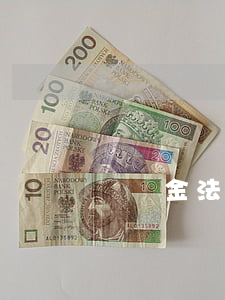 傷殘金法院可以凍結嗎(撫恤金可以凍結嗎)