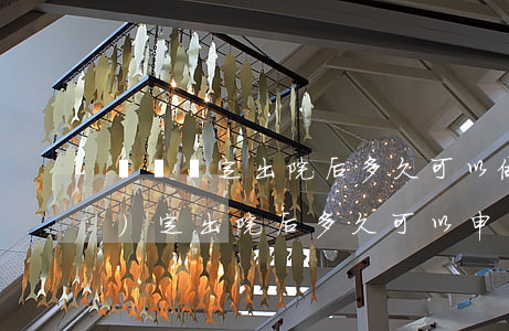 傷殘鑒定出院后多久可以做法律規(guī)定(出院后多久可以申請傷殘鑒定)