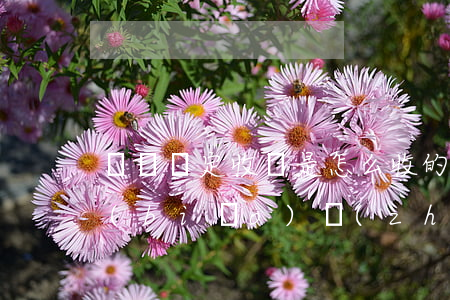 傷殘鑒定收費是怎么收的(傷殘鑒定的收費標(biāo)準(zhǔn)是多少)