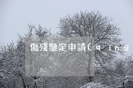 傷殘鑒定申請(qǐng)書(shū)
