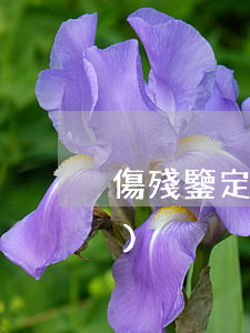 傷殘鑒定賠償標(biāo)準(zhǔn)