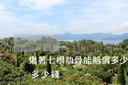 傷著七根肋骨能賠償多少錢(七根肋骨骨折賠多少錢)